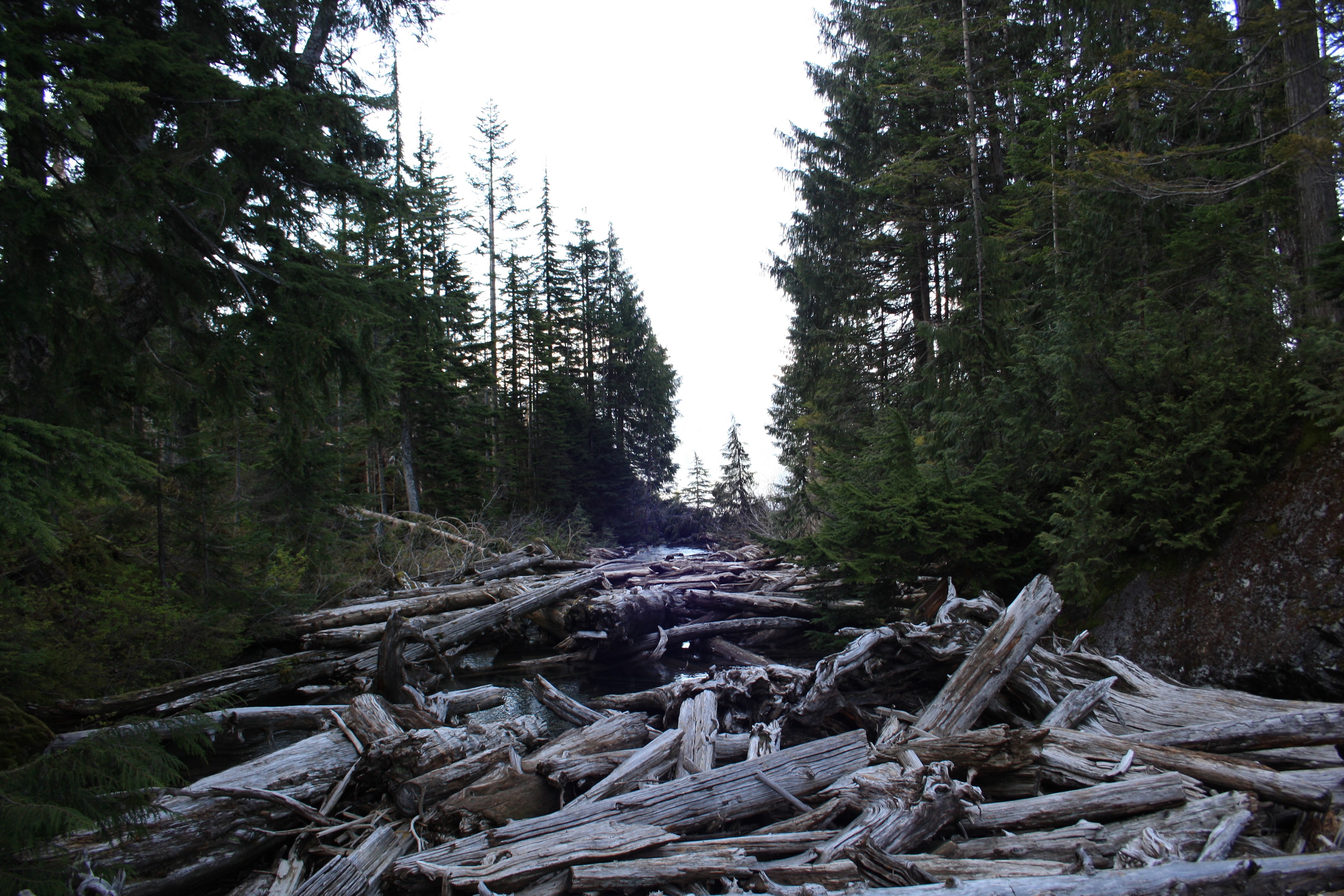Lake Serene Hike