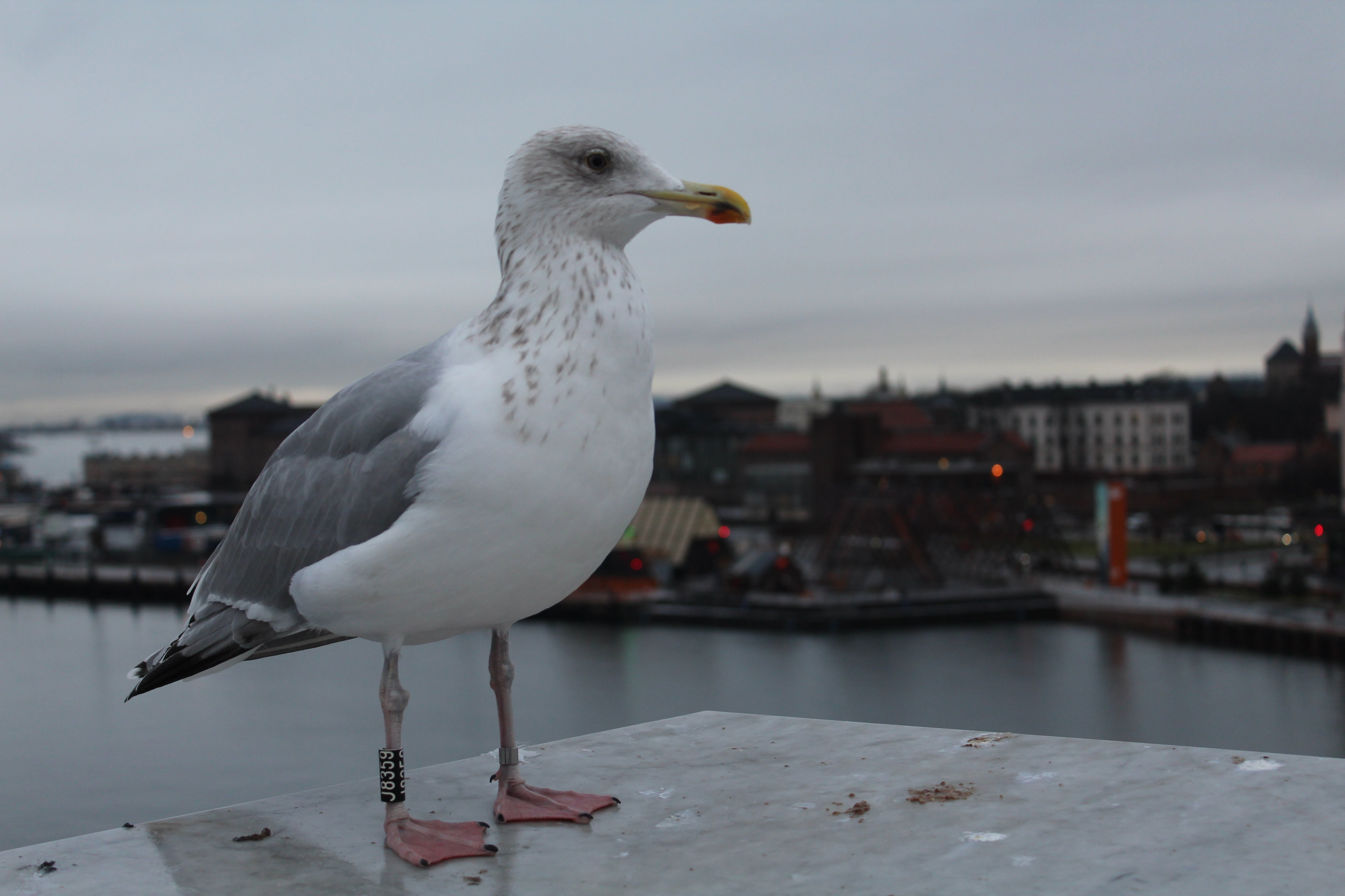 Norway
