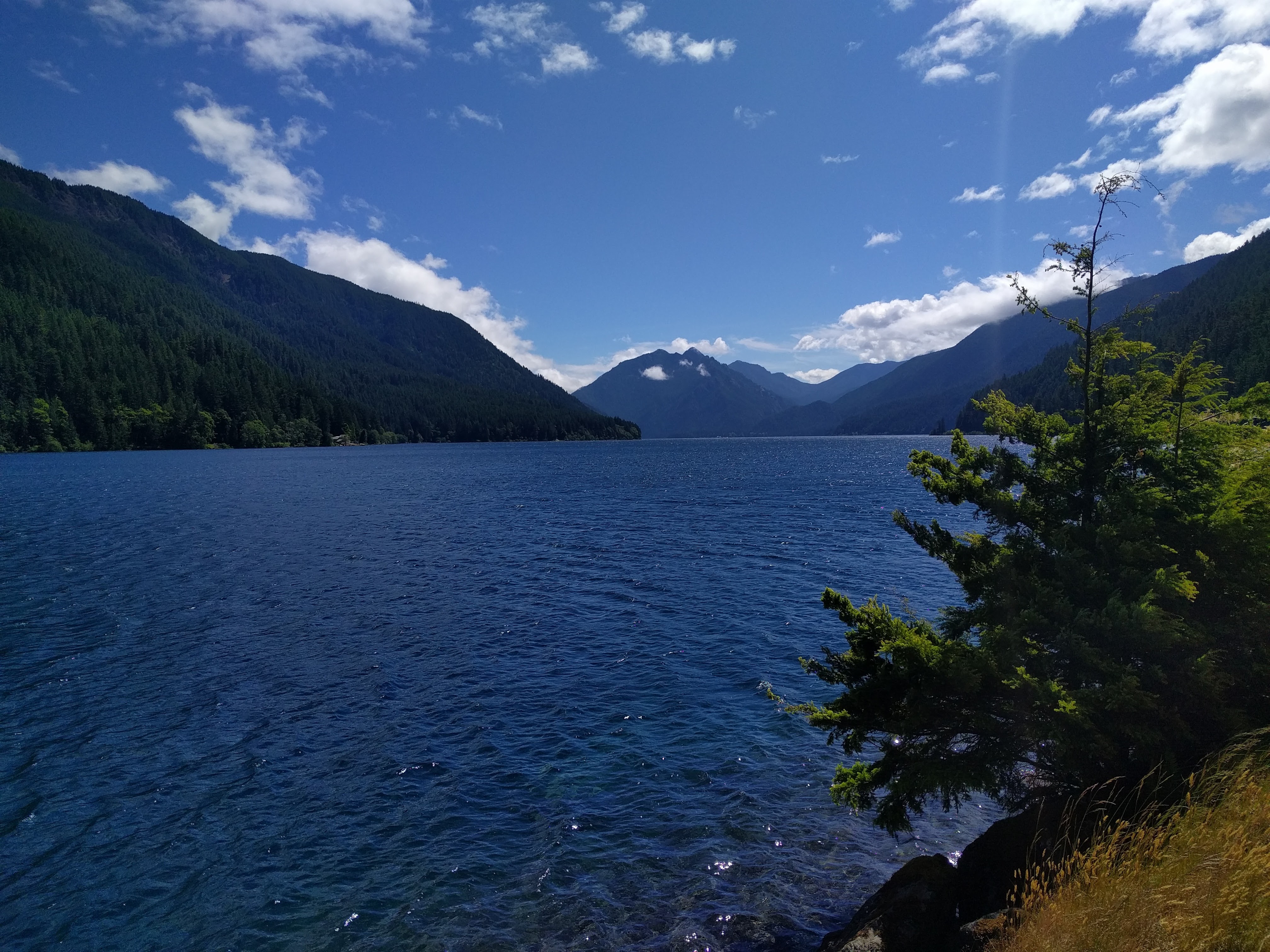 Olympic National Park
