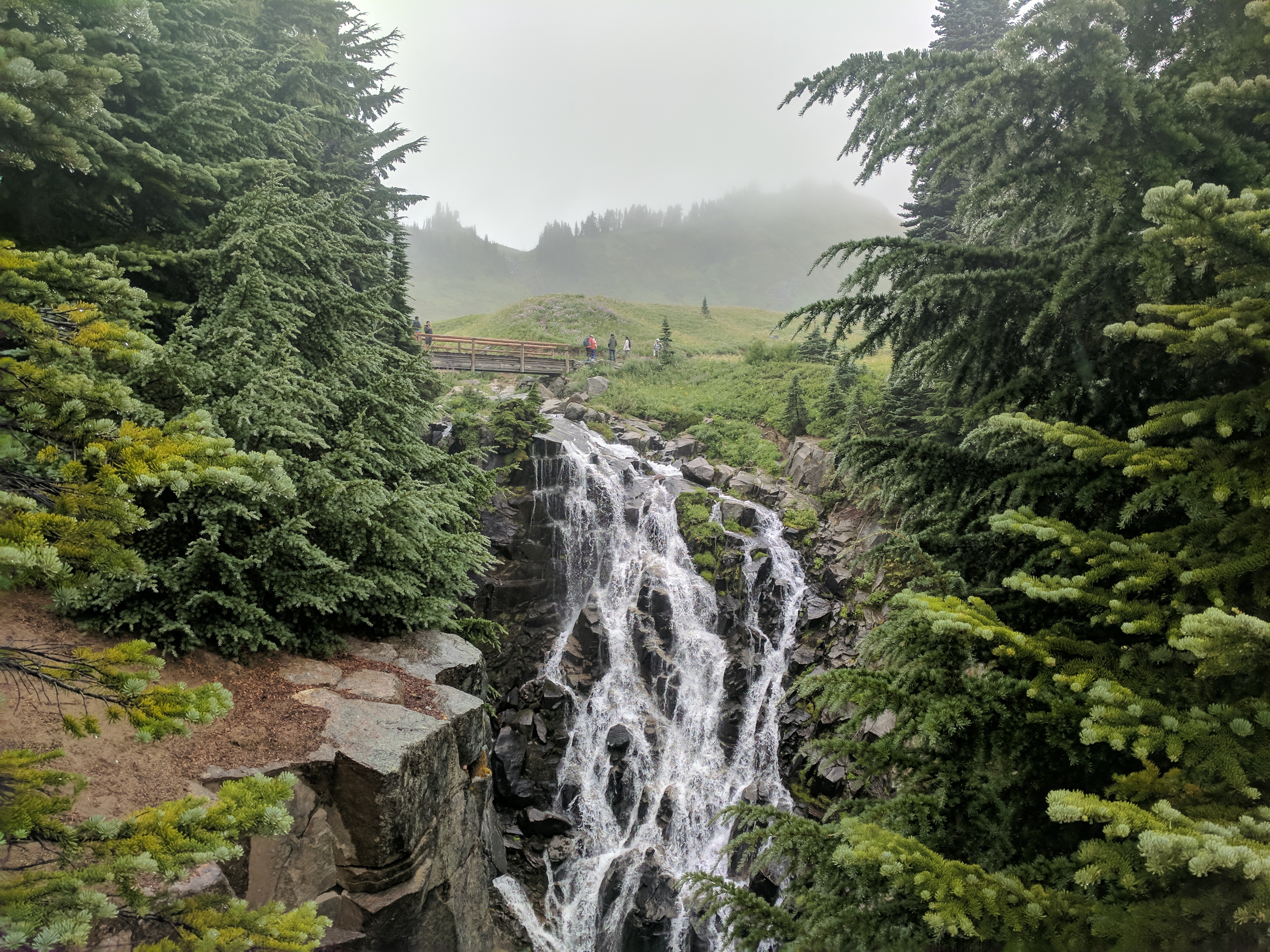 Paradise Trail