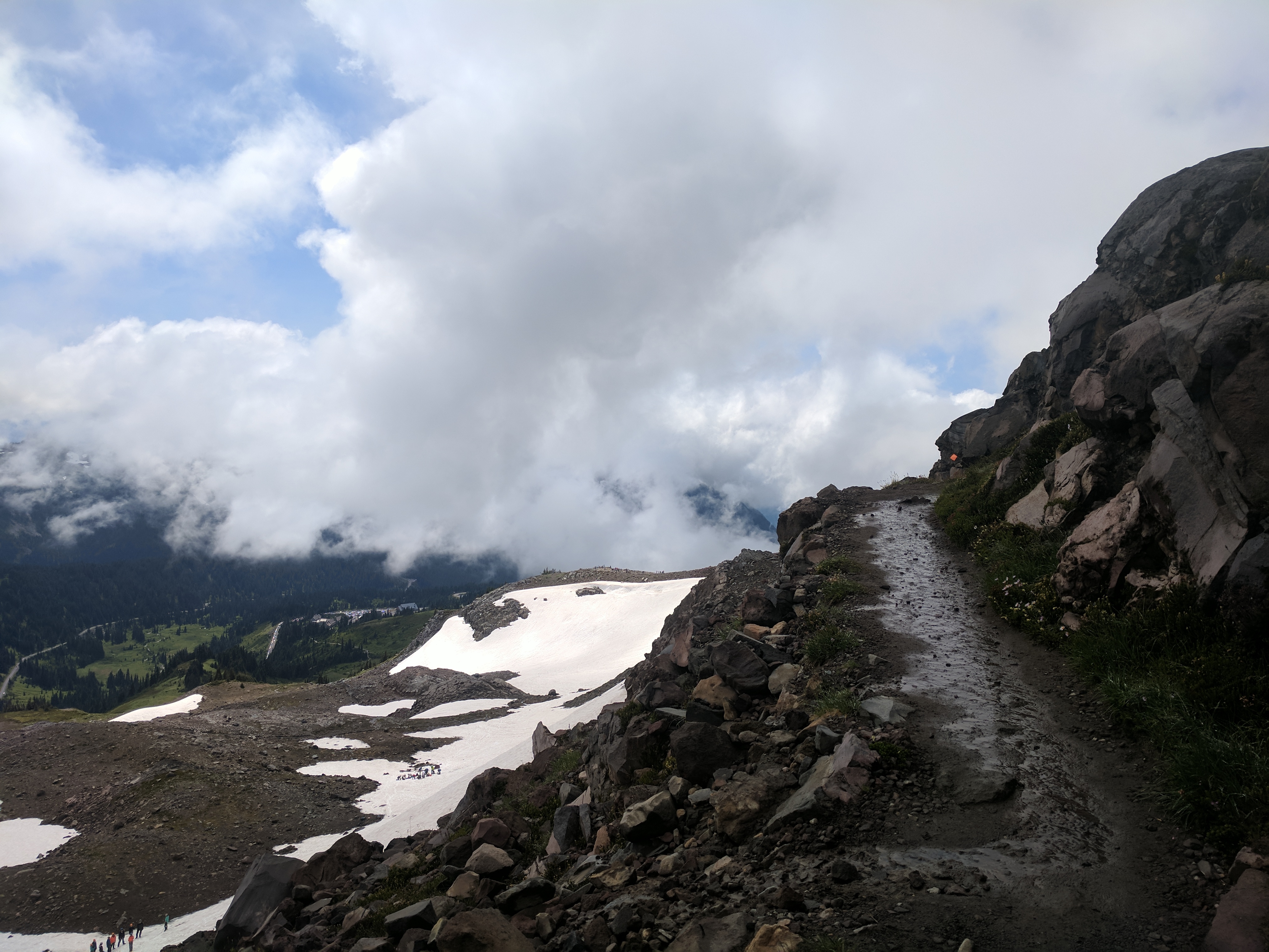 Paradise Trail