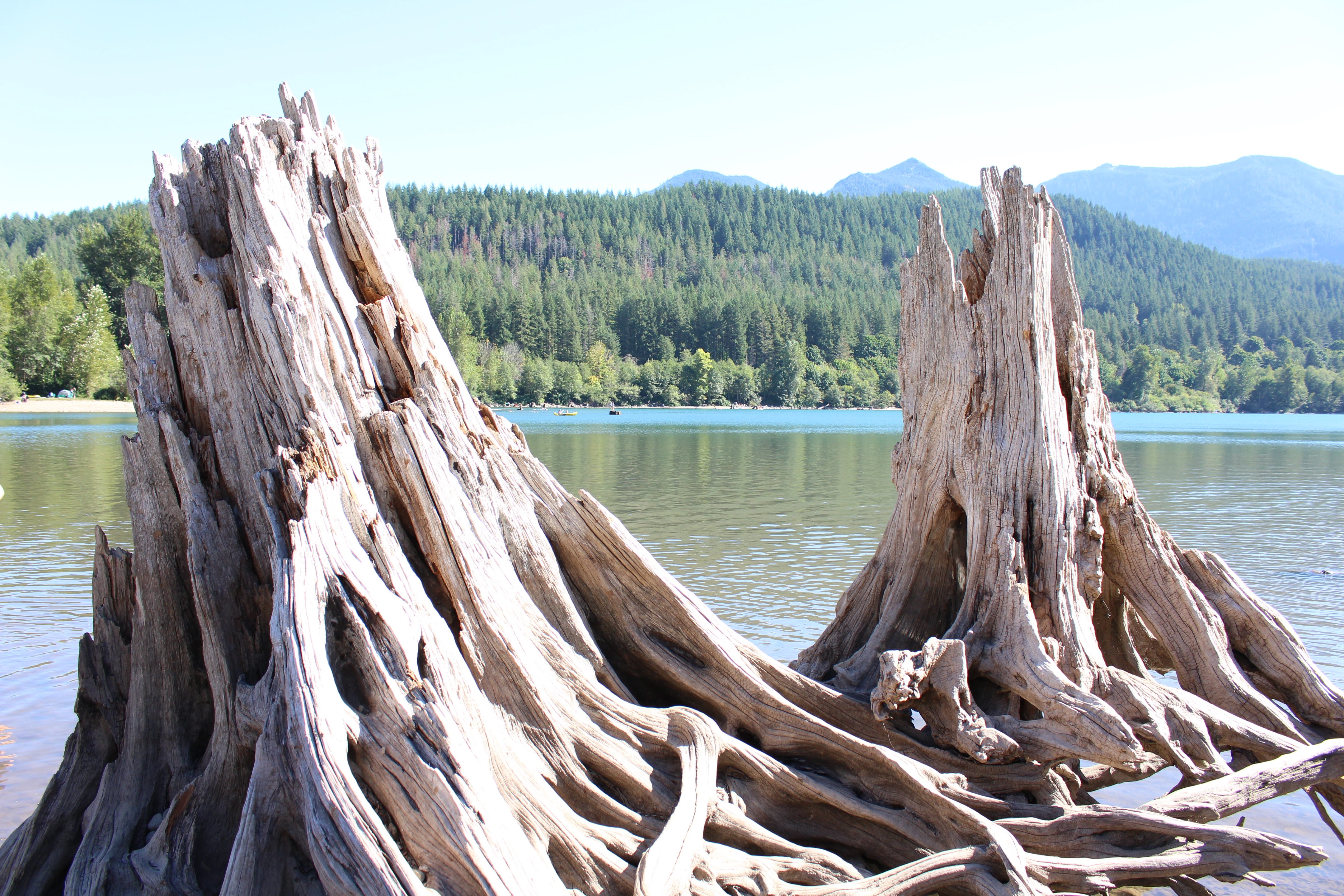 Rattlesnake Ridge Hike