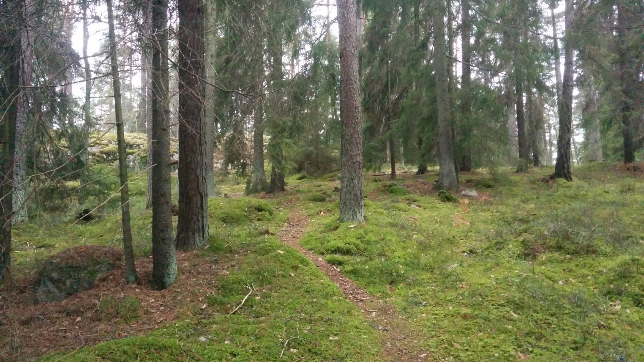 Sweden