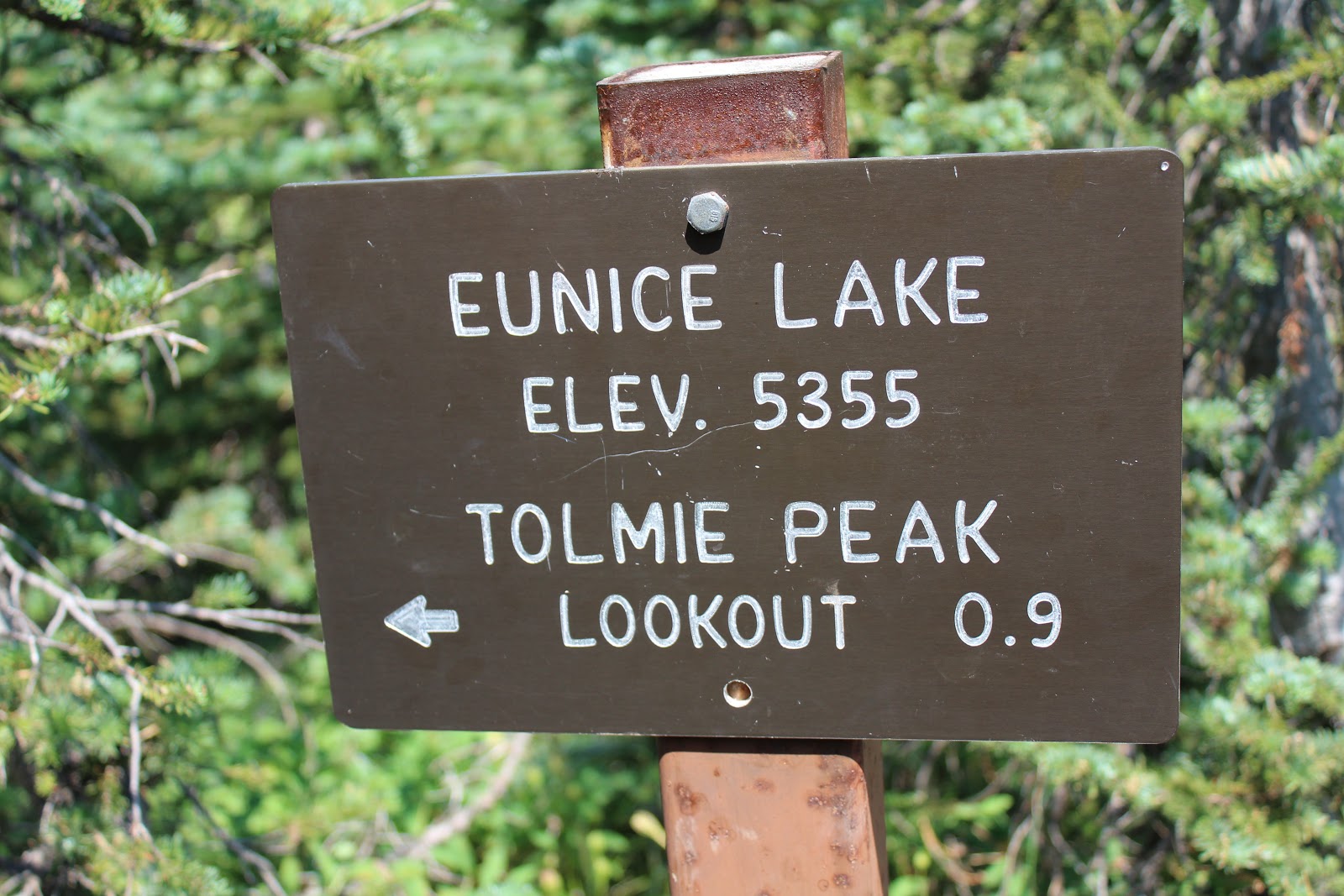Tolmie Peak
