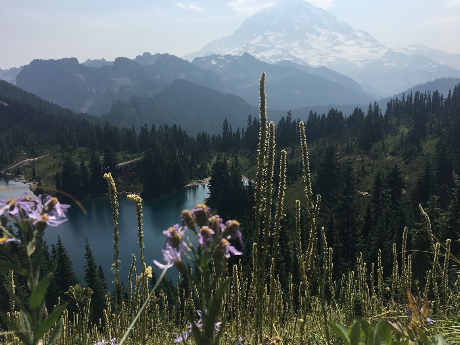 Tolmie Peak
