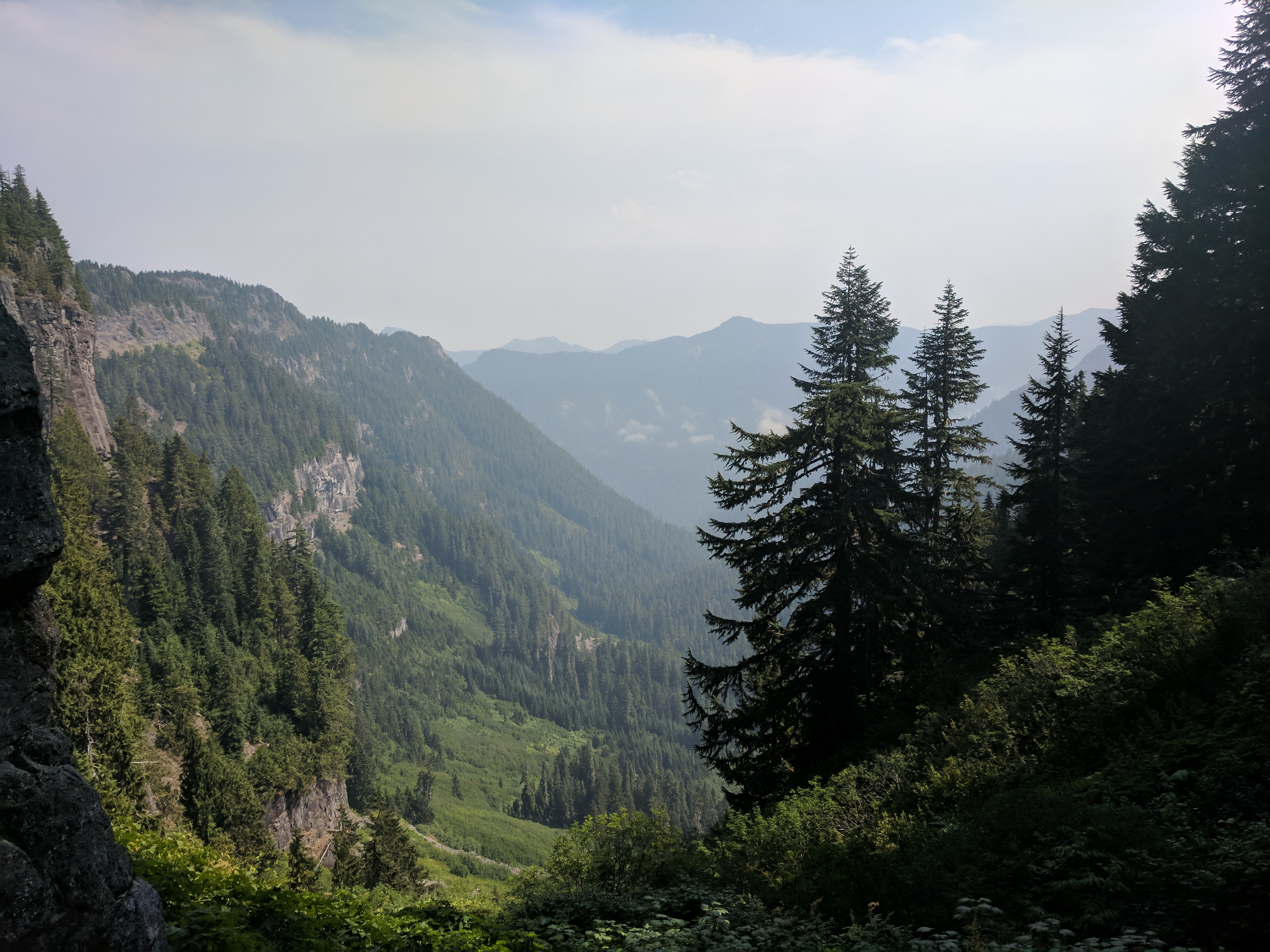 Tolmie Peak