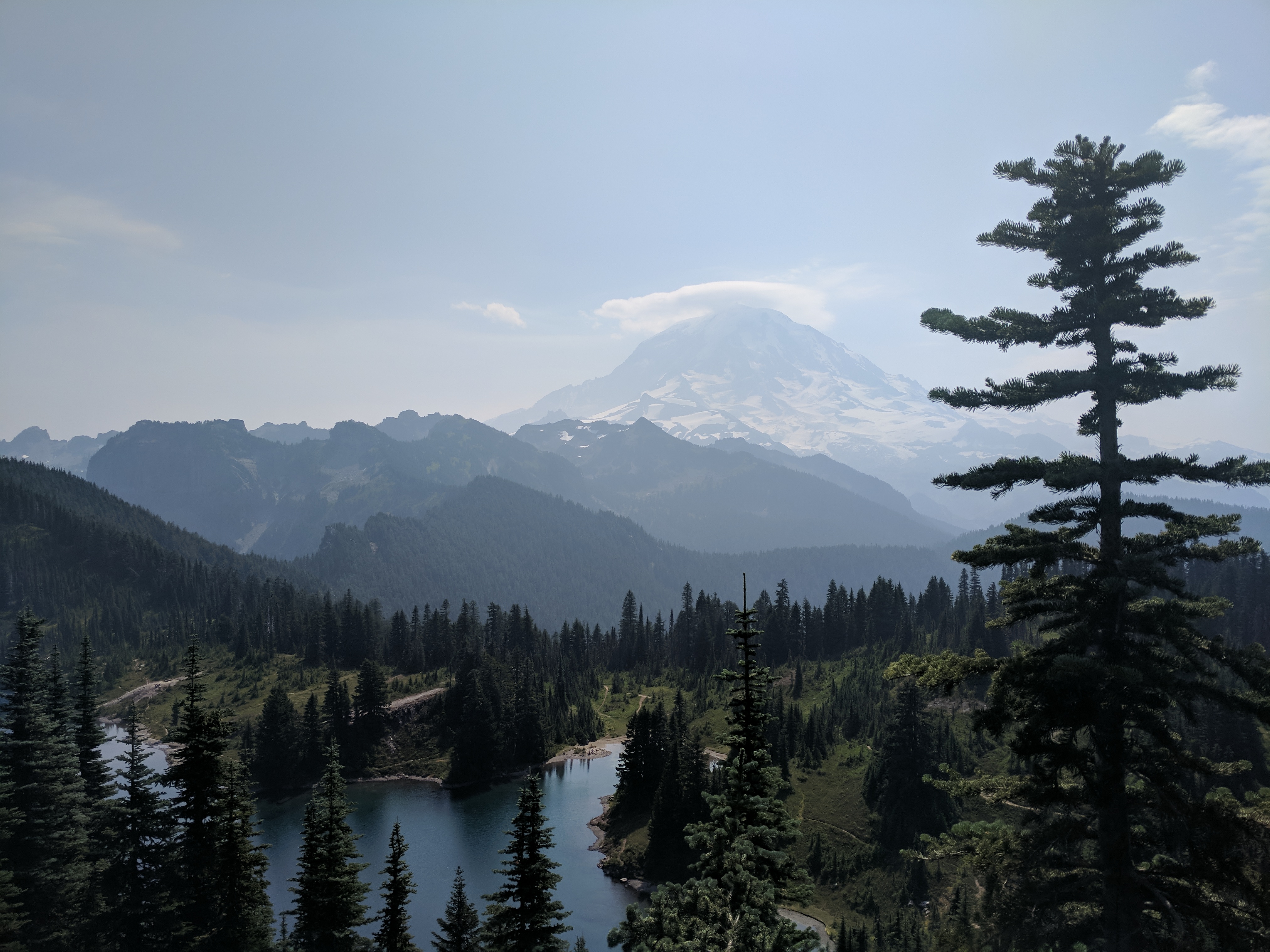 Tolmie Peak