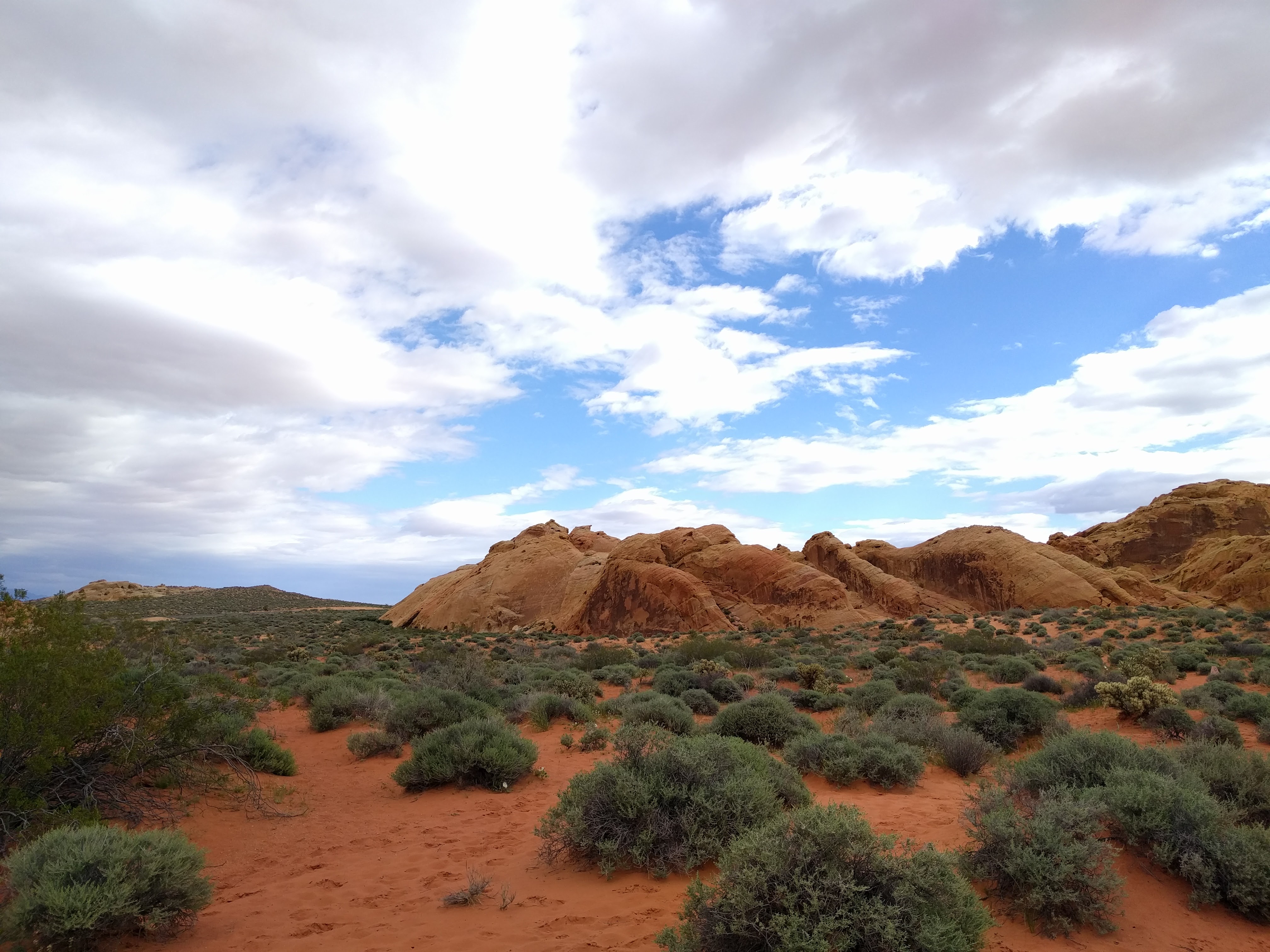 Road Trip through the Desert