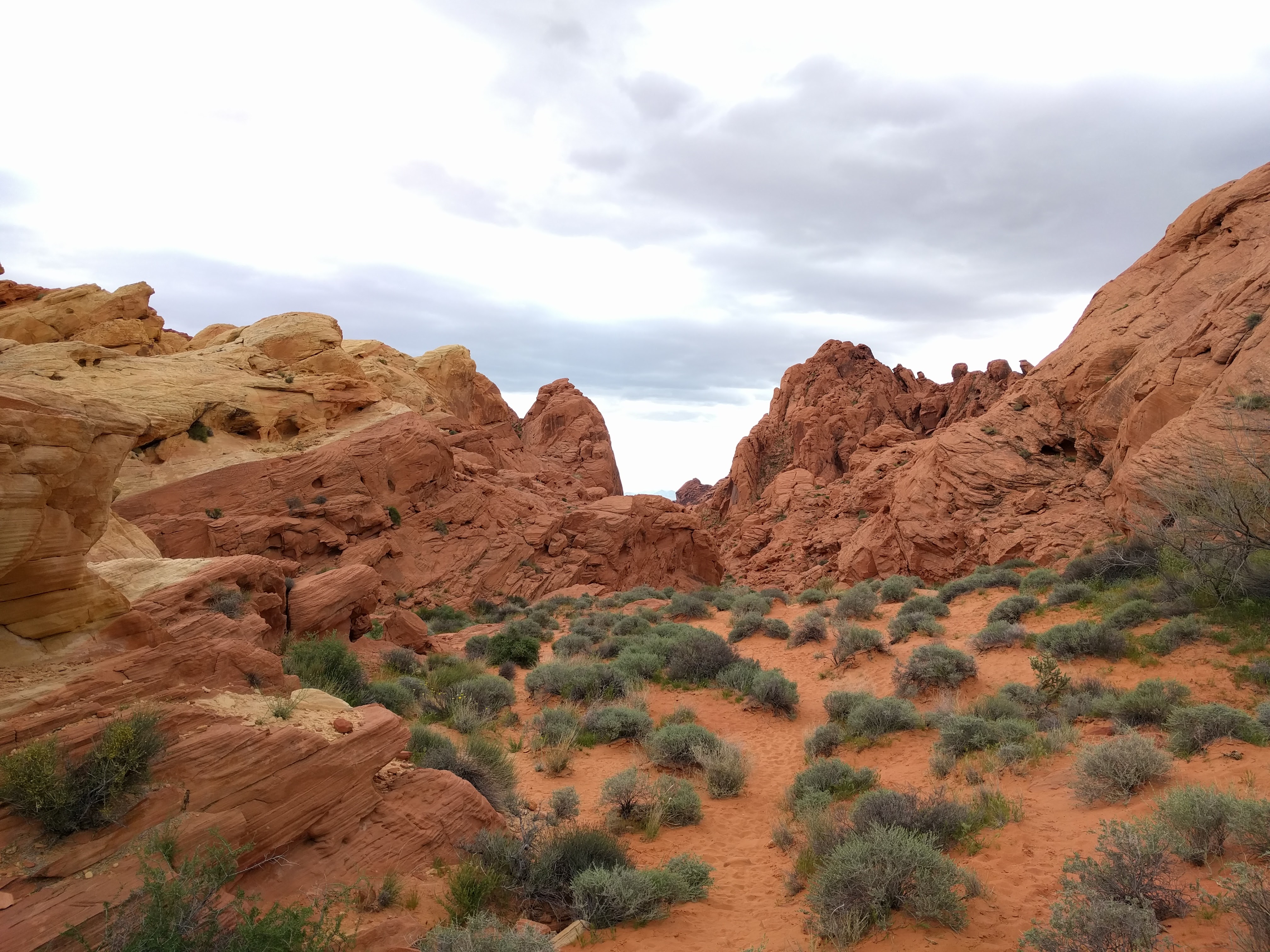 Road Trip through the Desert