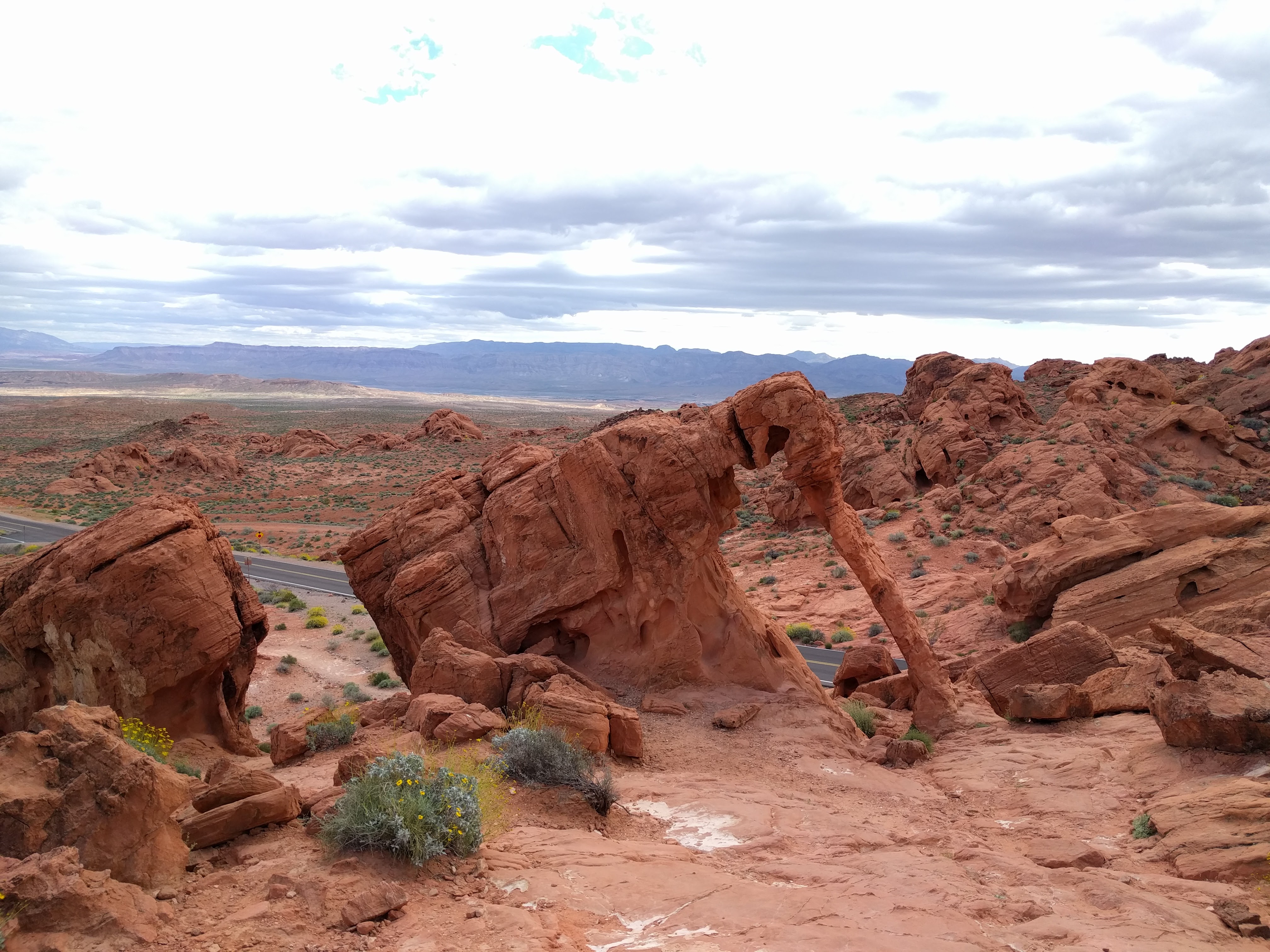 Road Trip through the Desert